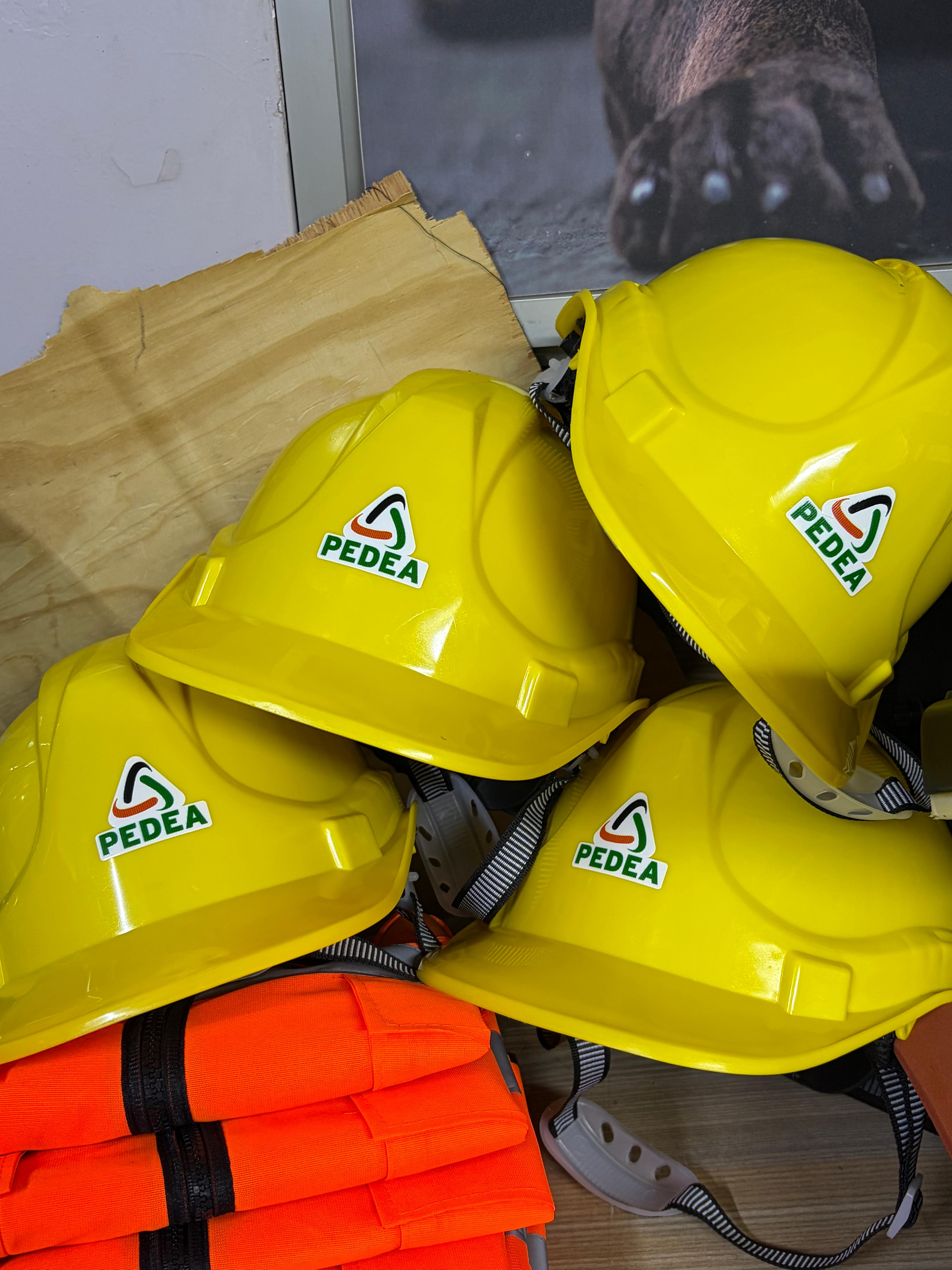 Branded Safety Helmets